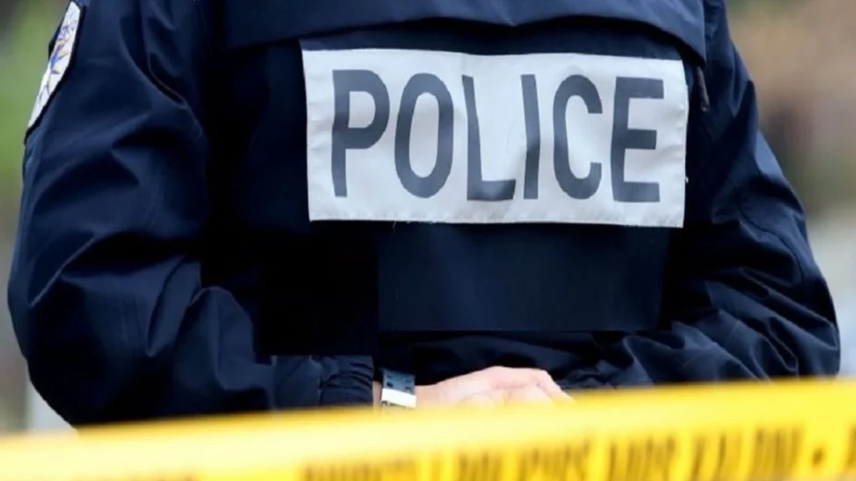 Gara me qen që shkaktoi një viktimë/ Zbardhet ngjarja e rëndë në Prizren