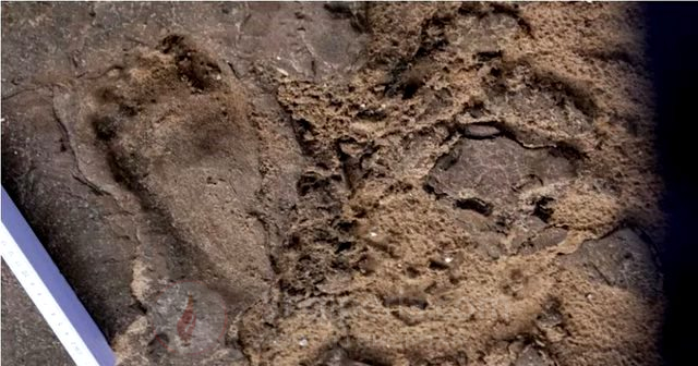 Gjendet gjurma e këmbës së njeriut 8200 vjeçare