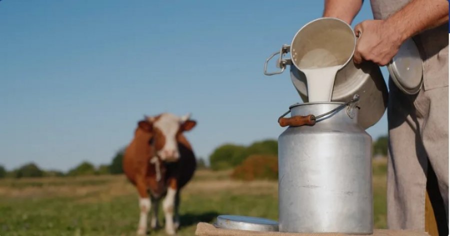 Hulumtimi gjerman – a është qumështi vërtet i shëndetshëm?