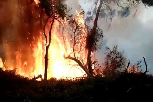 I pandalshëm zjarri ne Leskovik, terreni i vështirë nga prania e minave