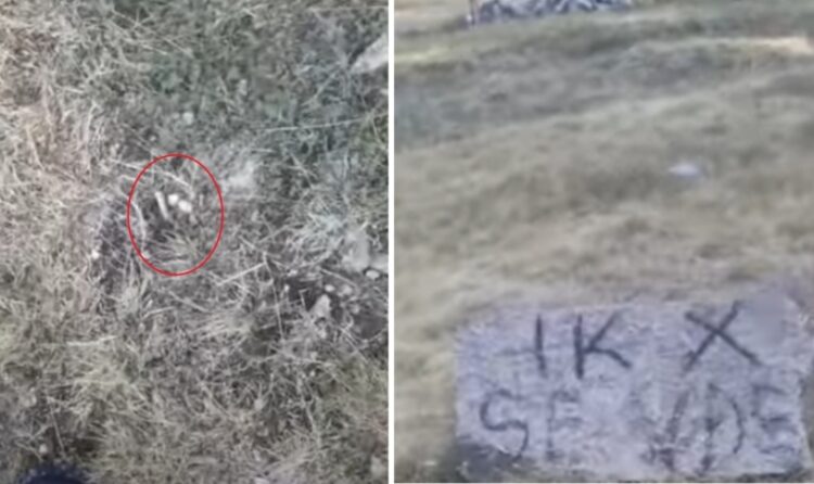 “Ik se do të vdesësh”/ Fermeri nga Puka qëllohet me armë zjarri në afërsi të banesës