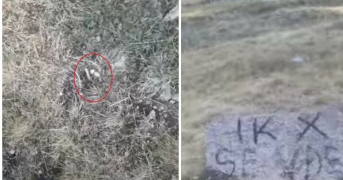 “Ik se do vdesësh”! Fermeri në Pukë merr mesazhin kërcënues në gur, qëllohet me armë zjarri