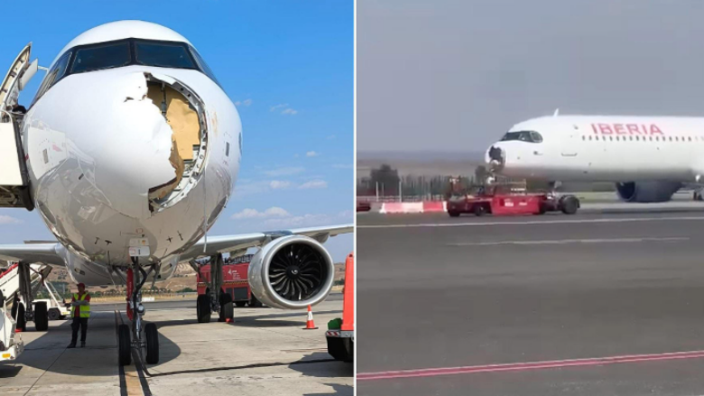 Incident në ajër, zogu gjigant përplaset me avionin! Detyrohet të bëjë ulje emergjente në Madrid