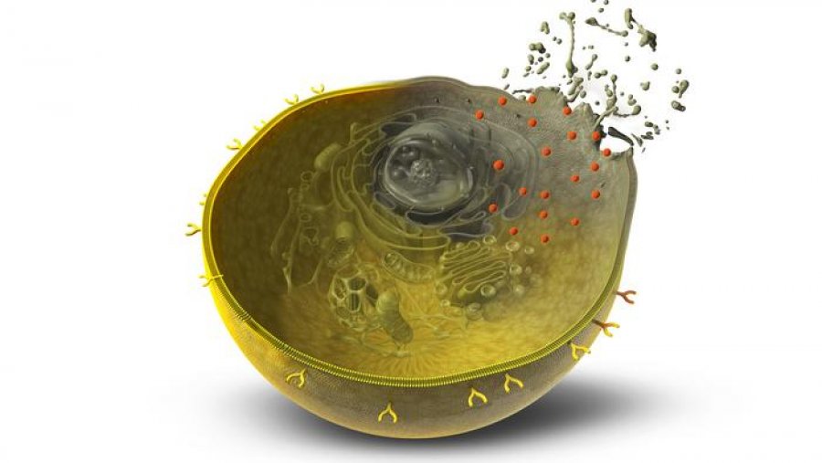 Inteligjenca Artificiale krijon ‘bomba’ molekulare kundër kancerit