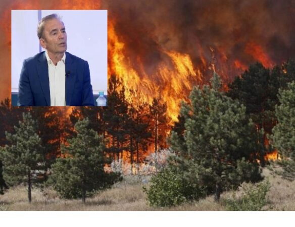 “Kambanë alarmi, janë mln euro dëme këtë verë”/ Zjarret në vend, flet eksperti i sigurisë: E patolerueshme