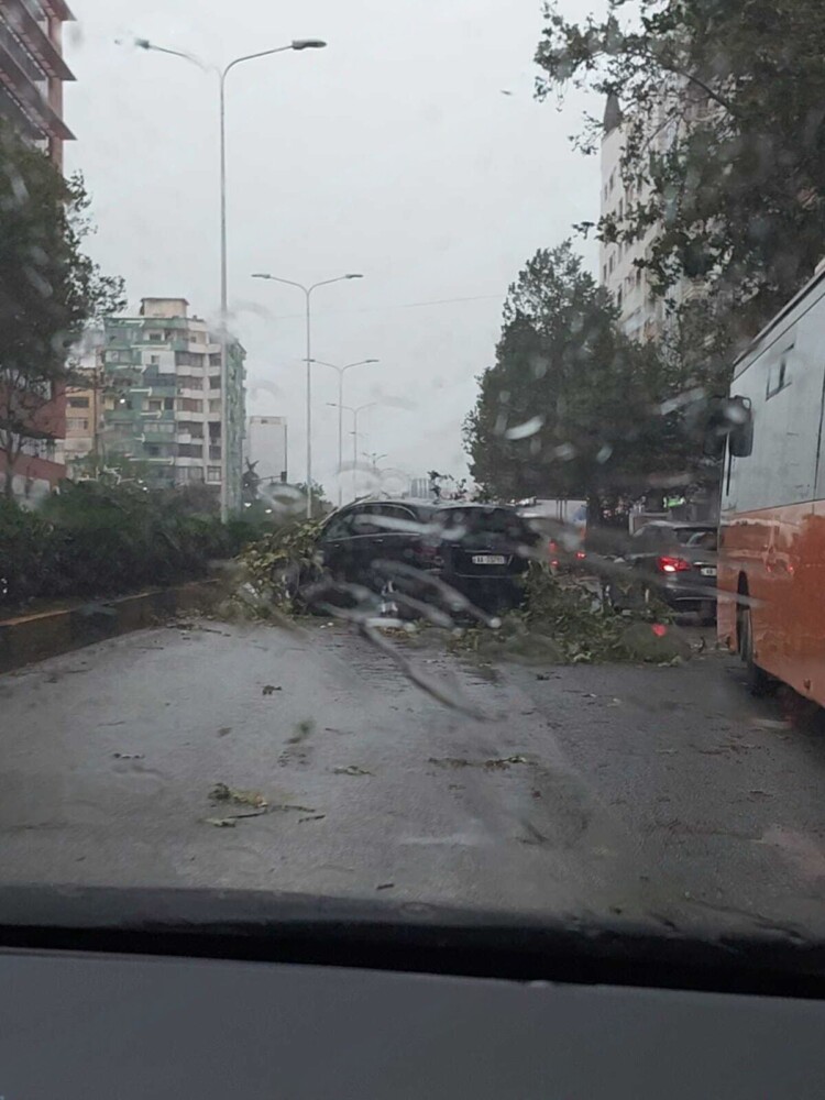 Kaos në kryeqytet/ Stuhia bën kërdinë në Tiranë, pemët përfundojnë mbi makina