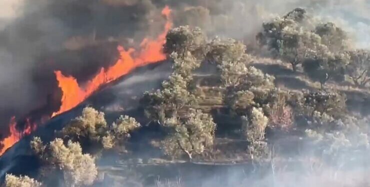 Kaos nga zjarri tek Syri i Kaltër, evakuohen turistët