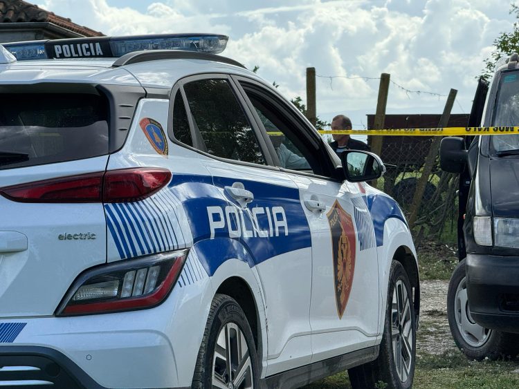 Katër gra rrihen me njëra-tjetrën në Pogradec