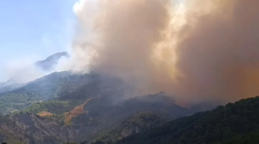 Kërkohet ndihmë urgjente/ Situatë kritike nga zjarret në Gramsh, dyshohet për banorë të bllokuar dhe viktima