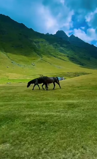 Kryeministri Rama “zgjohet” te bjeshkët e Doberdoillit (video)