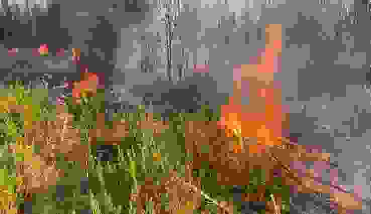 Kukës, ndalohet në kohë përhapja e zjarrit të rënë në Kodër Lumë