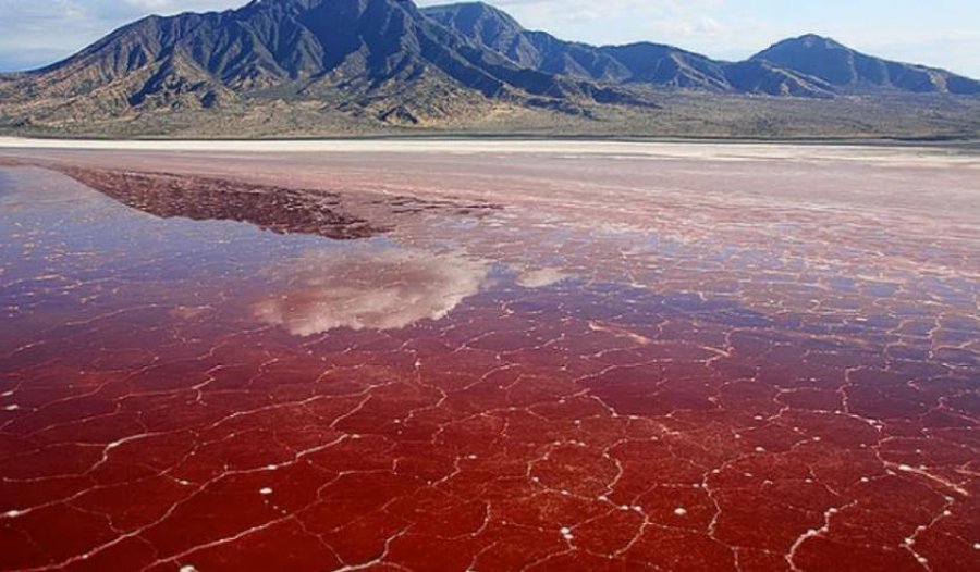 Liqeni i kuq i Tanzanisë, një mrekulli natyrore