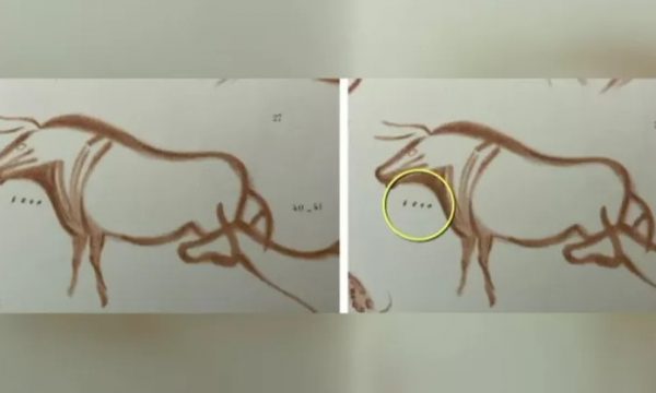 Londinezi zgjidh një mister të vjetër 20 000 vjet