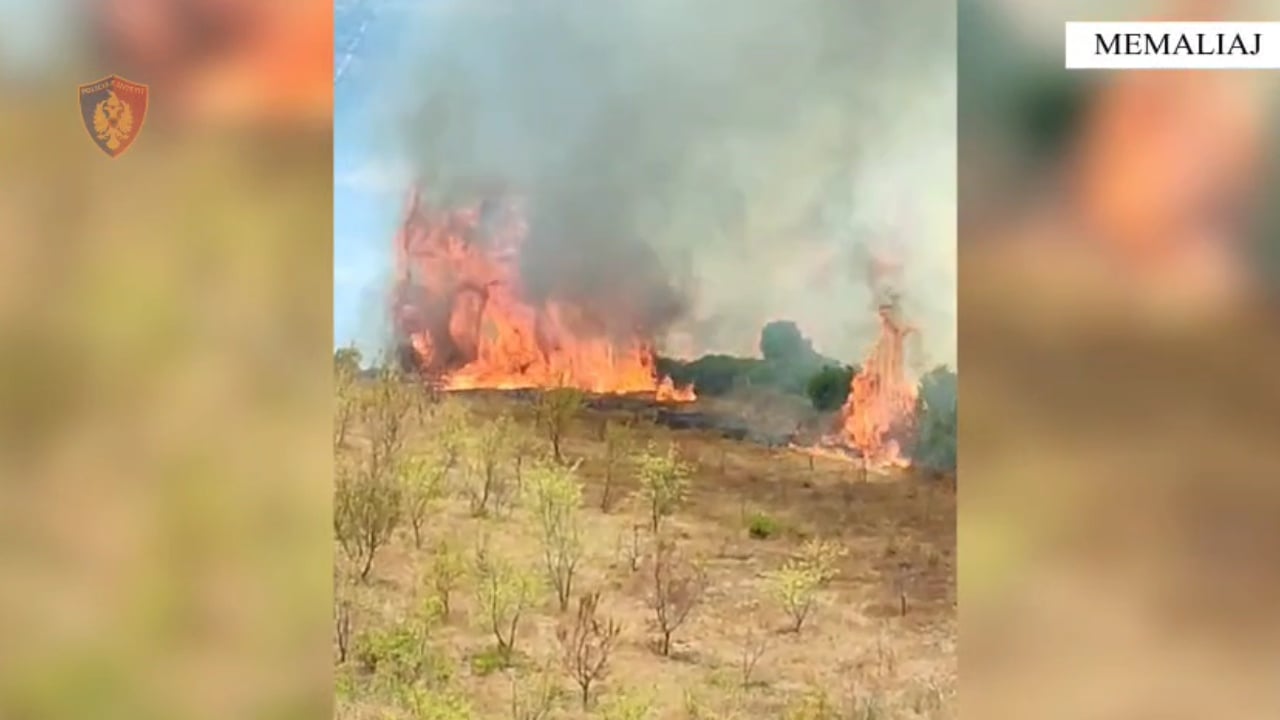 Memaliaj/ U dogjën tre banesa dhe 400 pemë, vihet në pranga autori i zjarrit