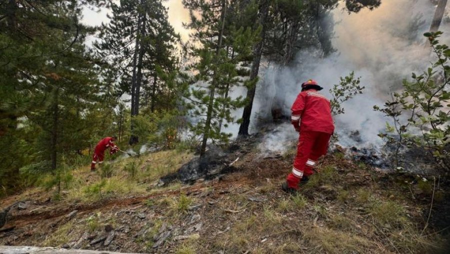 Ministria e Mbrojtjes: Vihet nën kontroll zjarri në Bogovë të Skraparit, vijon monitorimi