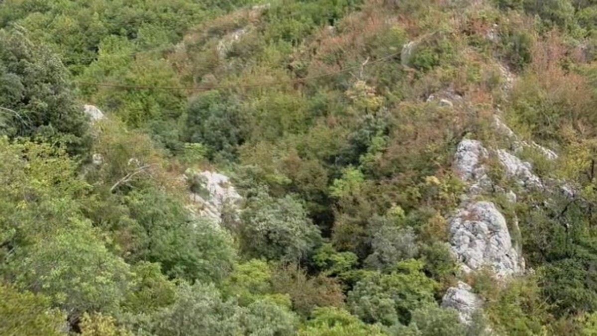 Mister në Elbasan! 56-vjeçari zhduket pa gjurmë gjatë kërkimit të qenit