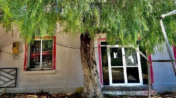 Misteri i pemës së mbjellë nga Naim Frashëri, e habitshme se si edhe sot ende lulëzon