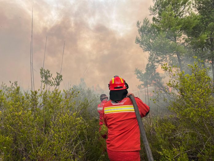 MM: 11 vatra të shuara plotësisht, zjarri në Akërni nën kontroll