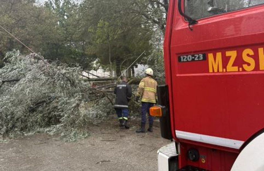 Moti me reshje shiu në jug-lindje të vendit, shkaktohen dëme në Maliq