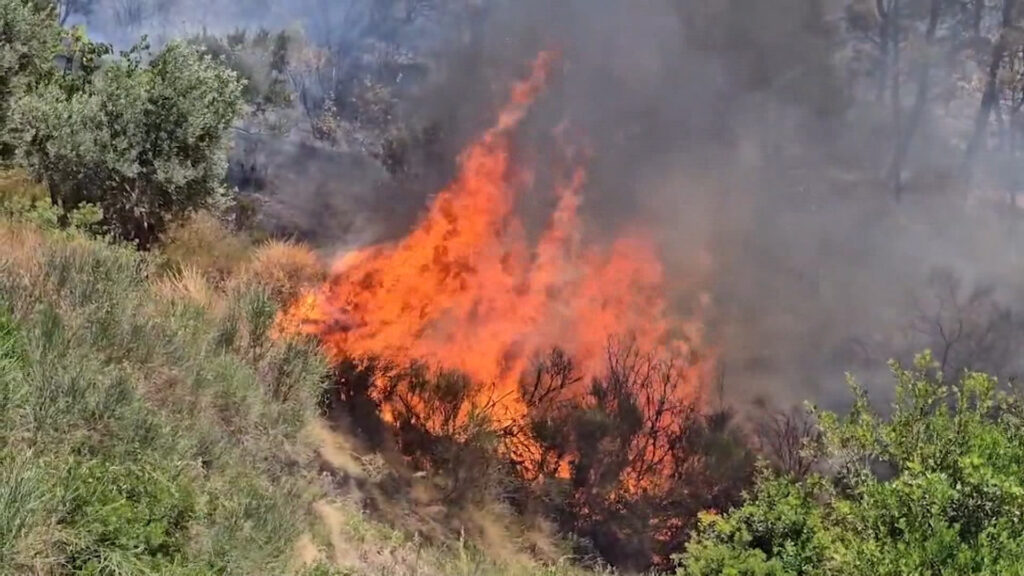 Ndezën qëllimisht zjarre, arrestohen 3 persona në Fier e Lushnje