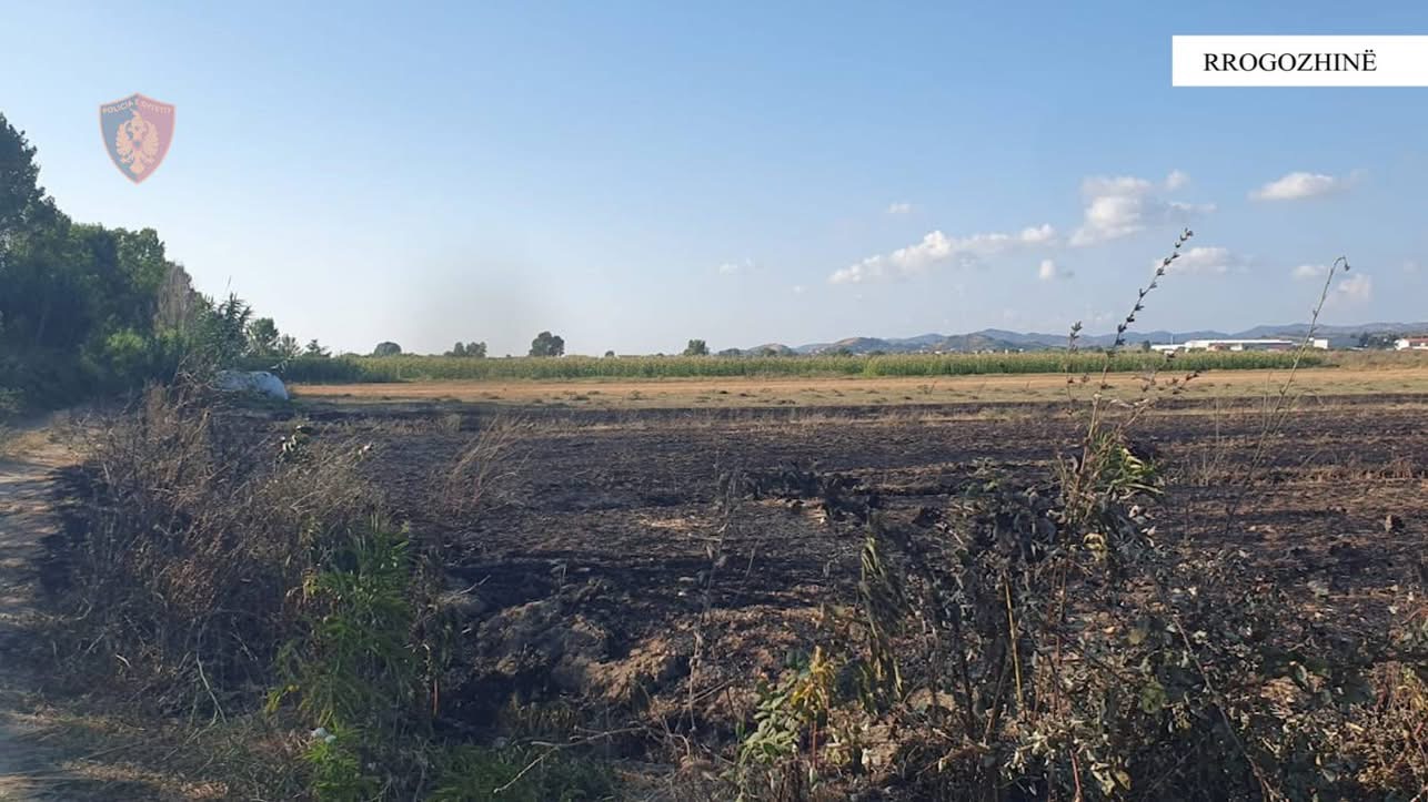 Ndezën zjarre në fshatrat Gosë e Madhe e Luz i Madh, procedohen penalisht dy shtetas