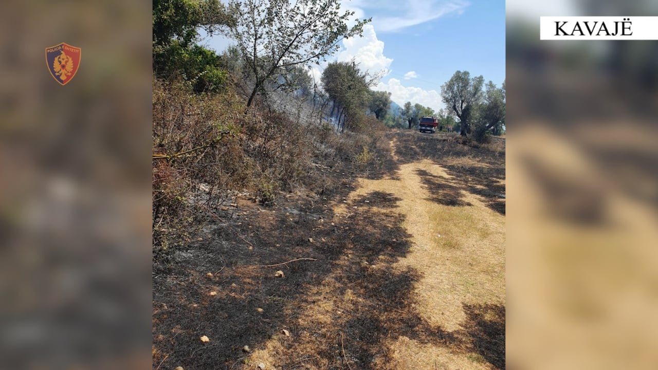 Ndezën zjarre në Kavajë pasi tentuan të digjnin mbeturinat, vihen nën hetim dy të moshuar