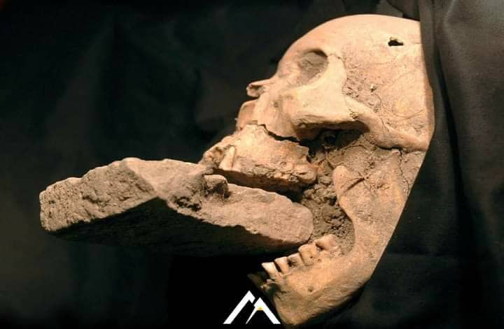 Në mesjetë besohej se “vampirët” ishin shkaku i sëmundjes së murtajës!