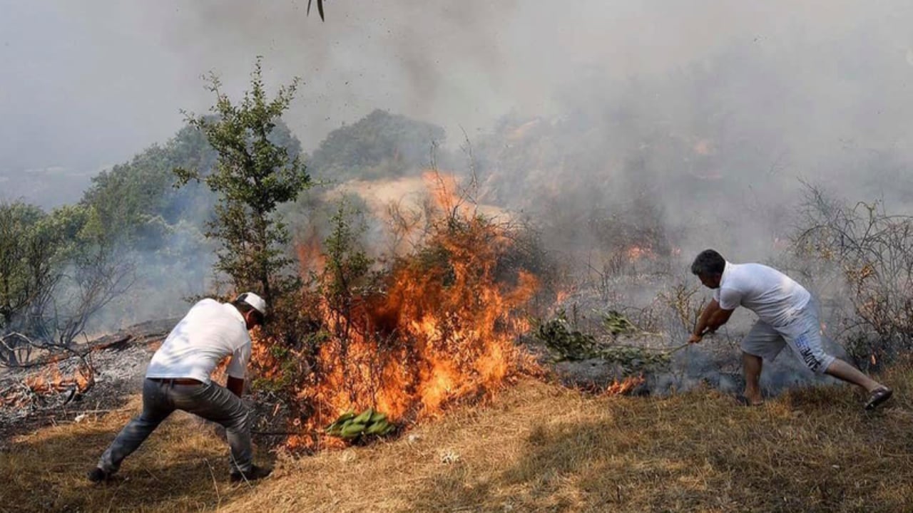 Në Shkodër 230 raste zjarresh, kreu i zjarrfikësve: Shumica nga pakujdesia njerëzore