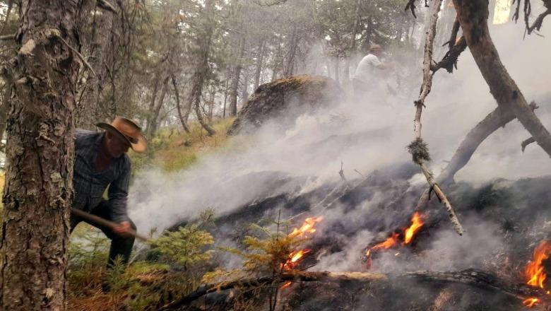 Nën kontroll vatra e zjarrit pranë Parkut Natyror të Gërmenjës, terreni i vështirë për shkak të zonës me municione