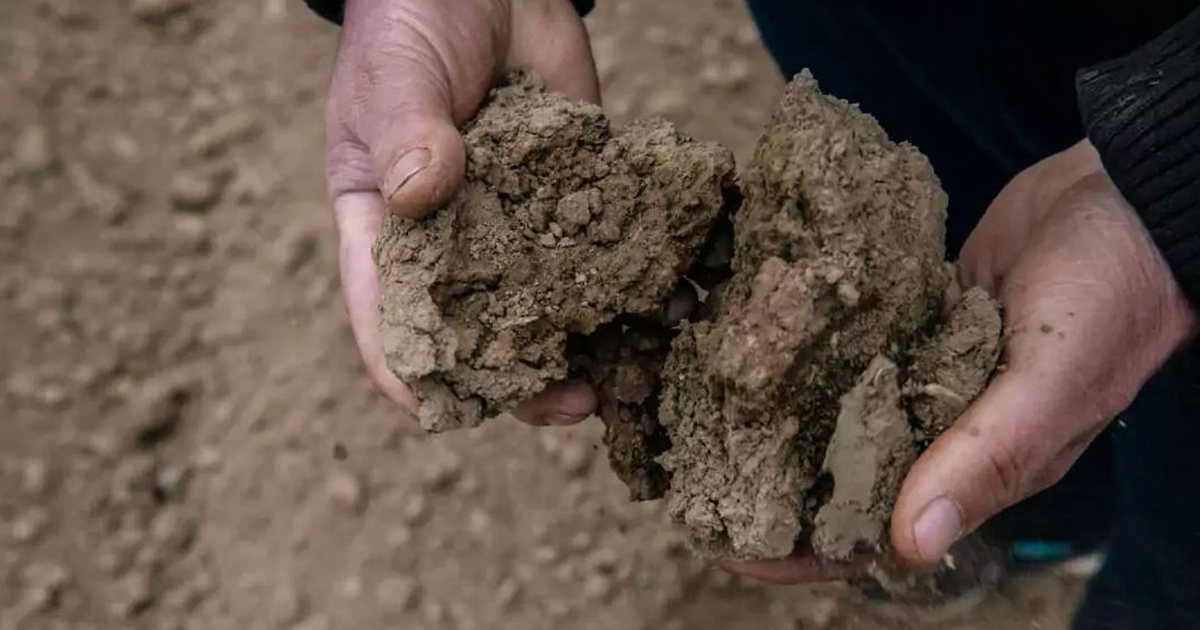 Ngecin hetimet për fondet IPARD