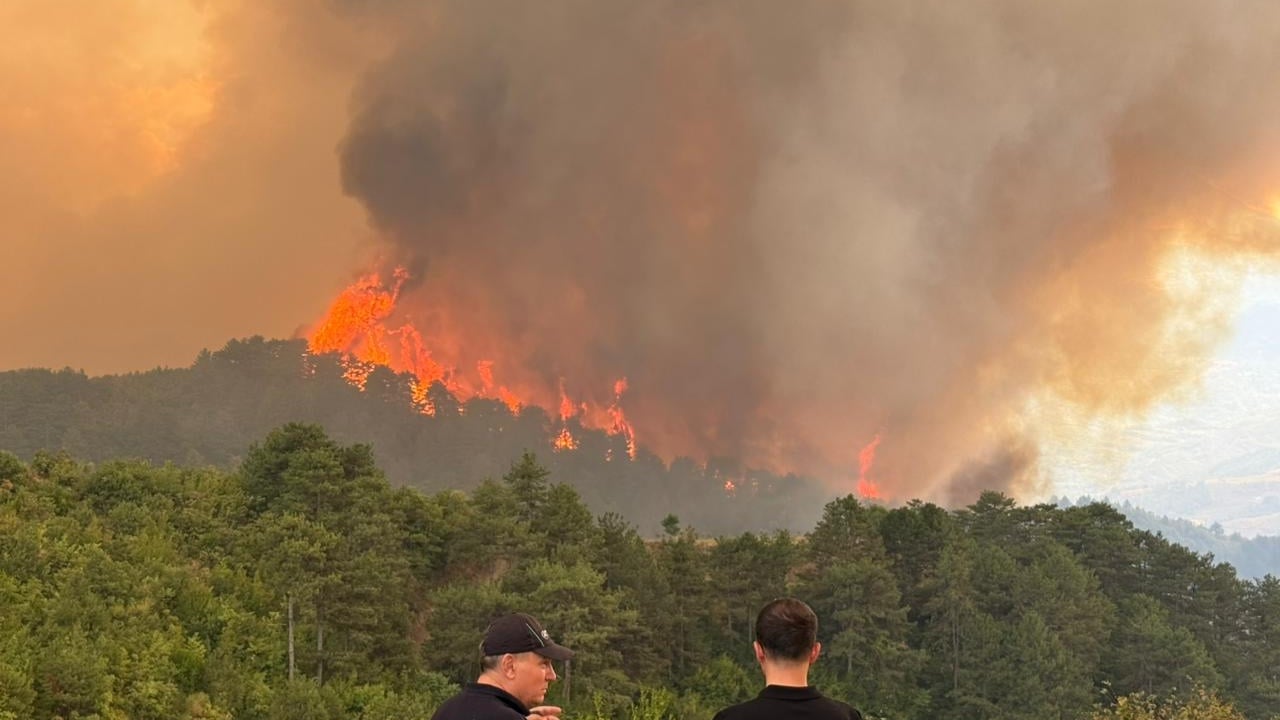 Nis verifikimi i dëmeve nga zjarri/ 57 veterinerë në terren, do vlerësojnë humbjet në Gramsh e Delvinë