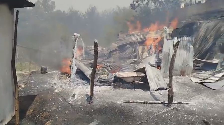 Nis verifikimi i dëmeve nga zjarri. 57 veterinerë në terren, do vlerësojnë humbjet në Gramsh e Delvinë