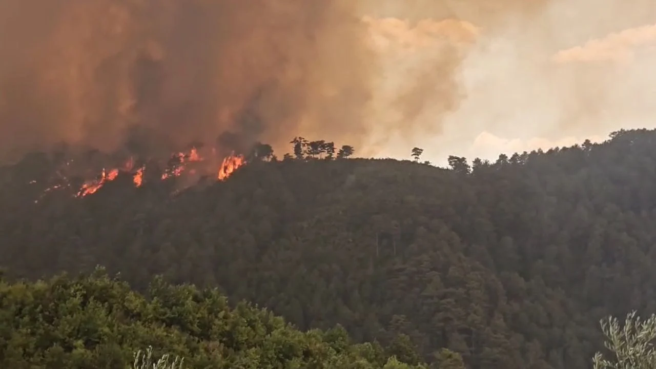 Një viktimë, tetë të plagosur! Evakuohen shtatë fshatra, pamje apokaliptike nga Gramshi