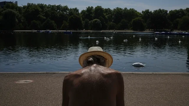 Nxehtësia ekstreme shkaktoi më shumë se 1,300 vdekje në Portugali brenda 20 ditëve