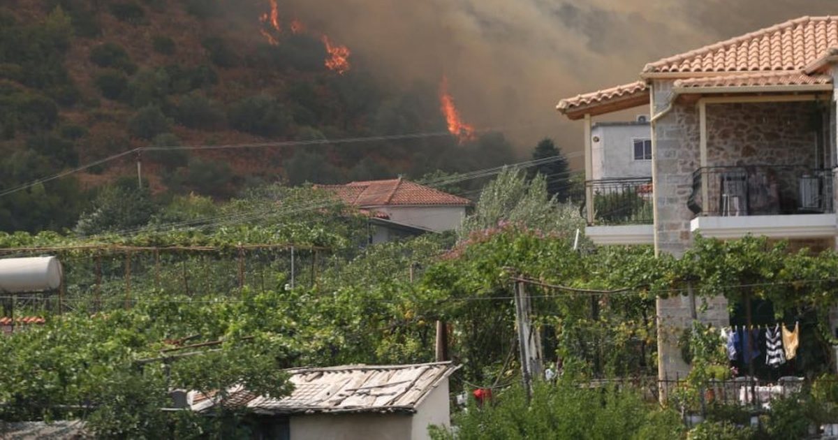 Pasojat e zjarreve/ Autoriteti Kombëtar i Veterinarisë në terren: Inventar dëmeve! Groposini bagëtitë e djegura