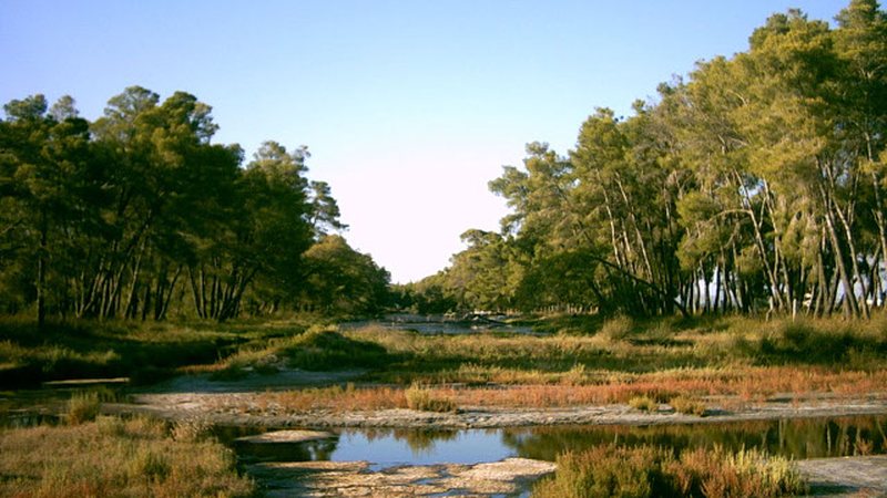 Pedonale e re brenda Parkut të Karavastasë, AKZM shpall fituesin për hartimin e projektit