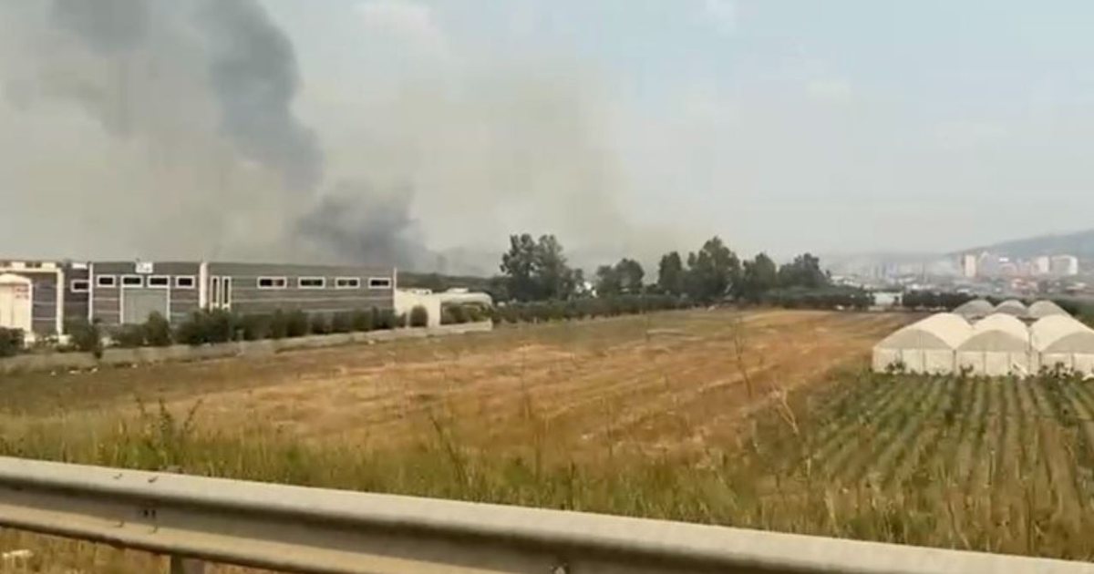 Përfshihet nga zjarri fusha e grumbullimit të mbetjeve në Lushnjë