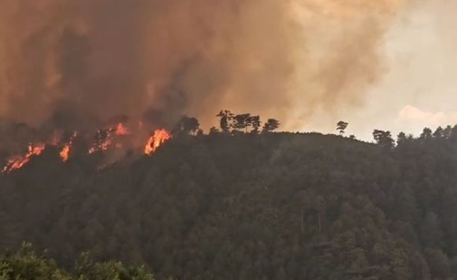 Përhapja e zjarreve në Nartë, Skënderbegas e Delvinë/MM thirrje urgjente për evakuim