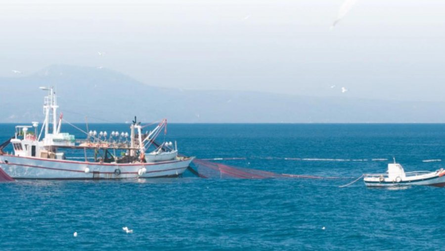 Peshkatarët turq në Egje po i afrohen bregdetit grek, Athina reagon e shqetësuar