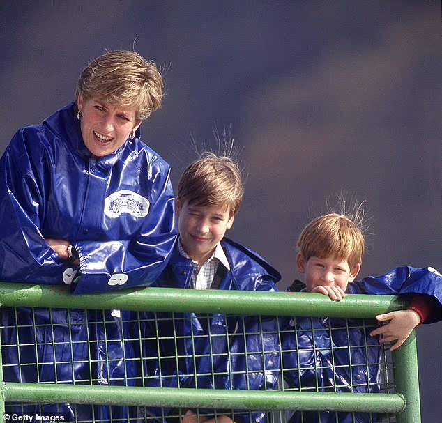 Pse djemtë e Princeshës Diana nuk do trashëgojnë pronën familjare?