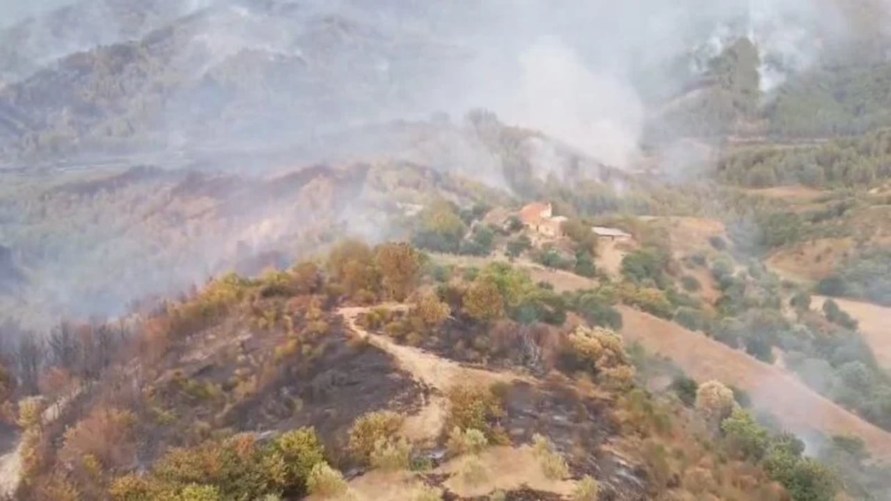 Qetësohet situata në fshatrat e Gramshit/ Banorët rikthehen në banesa, vijon groposja e bagëtive të djegura