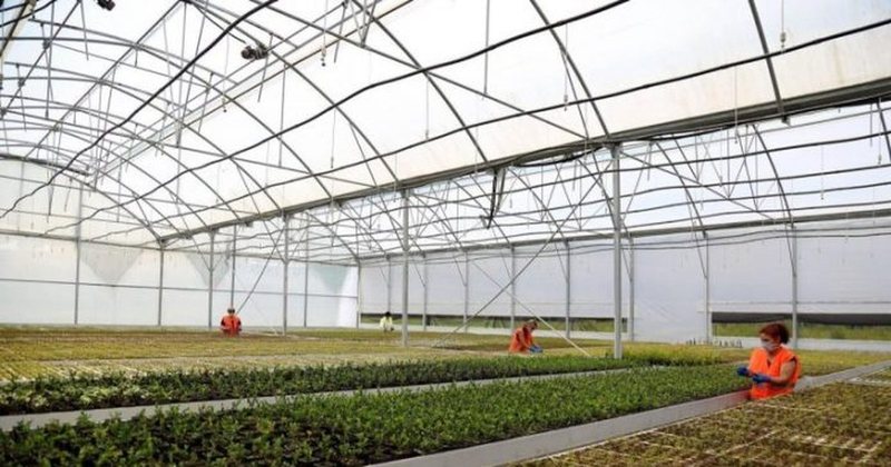 Qeveria çel skemat e investimeve në bujqësi, fermerët kanë afat deri në 30 shtator për të aplikuar