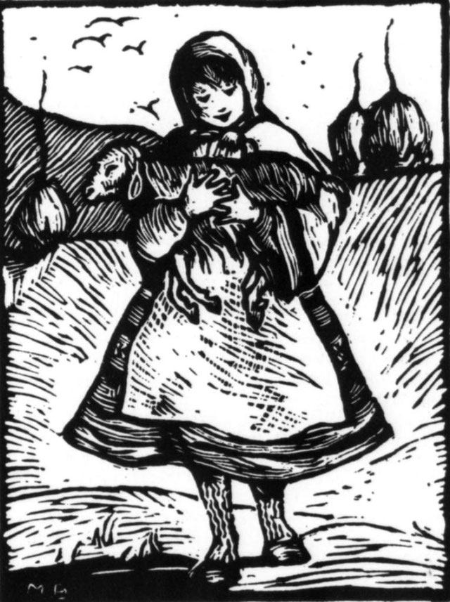 Revista amerikane/Bora, vajza bareshë në malet shqiptare-Tregim nga Elizabeth Miller