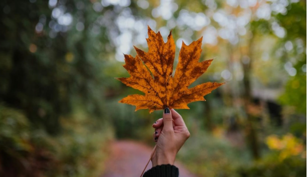 Shenjat që e nisin me këmbën e mbarë shtatorin