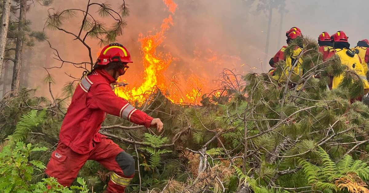 Shiu fiku zjarret/ Përmirësohet situata në vend, vetëm 3 vatra janë aktive