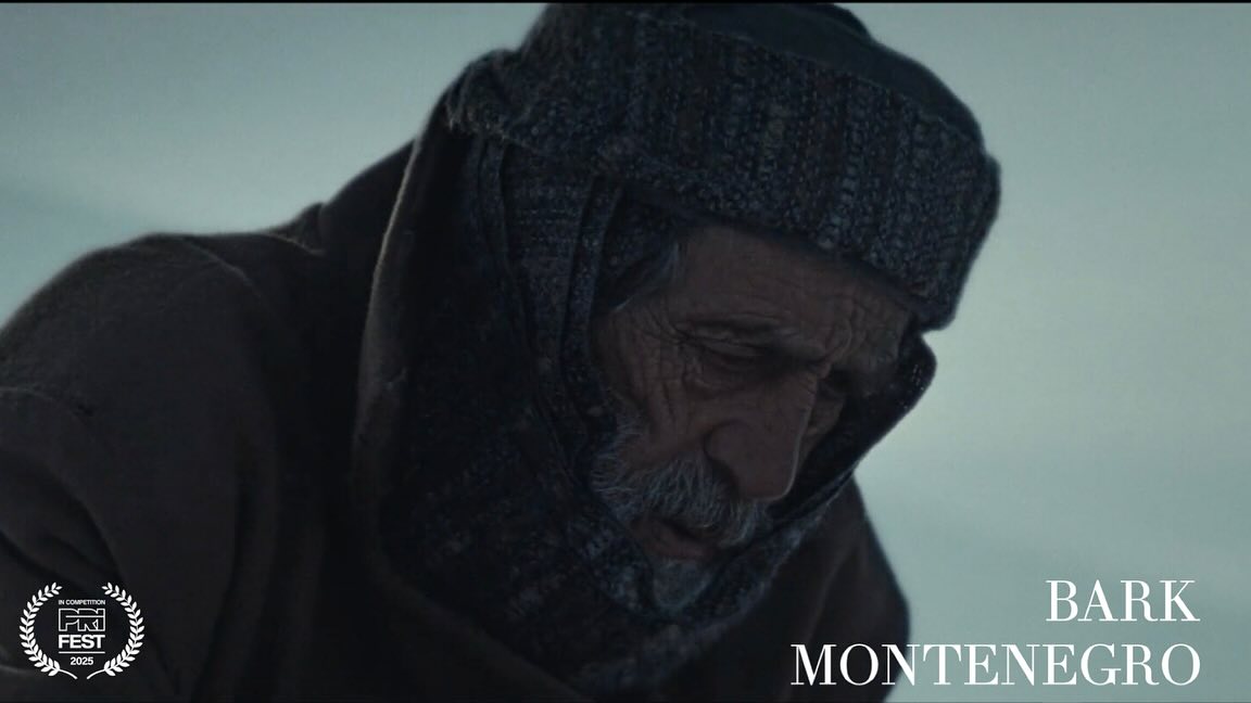 Shpaloset programi garues i filmave të shkurtër në PriFest 2025