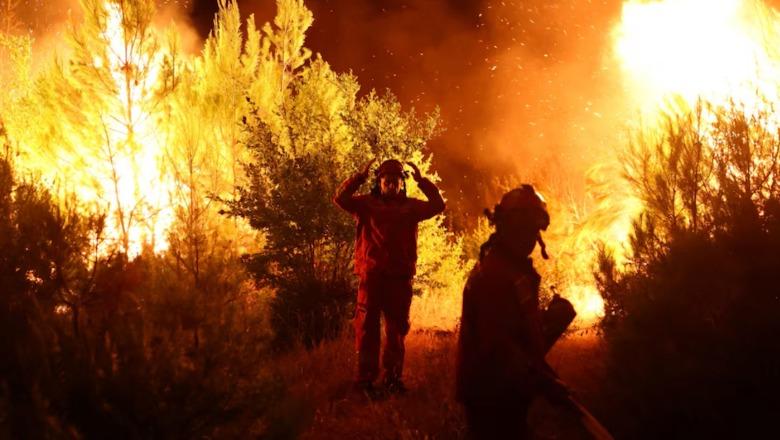 Shqipëria e para në rajon për sipërfaqen e djegur nga zjarret/ Ja renditja e vendeve të prekura