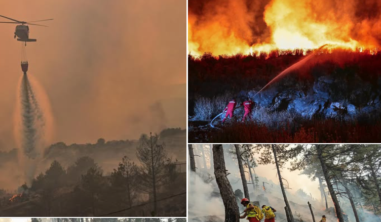 Shqipëria në “luftë” me zjarret, Rama: Po vijojnë pa ndërprerje përpjekjet në terren, zonat ku duhet vëmendje në vazhdim