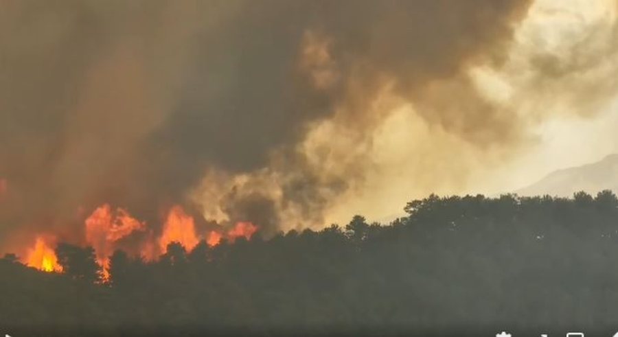 Situata dramatike/ Dy viktima nga zjarri në Elbasan, dhjetëra banesa të shkrumbuara dhe 6 fshatra të djegur plotësisht