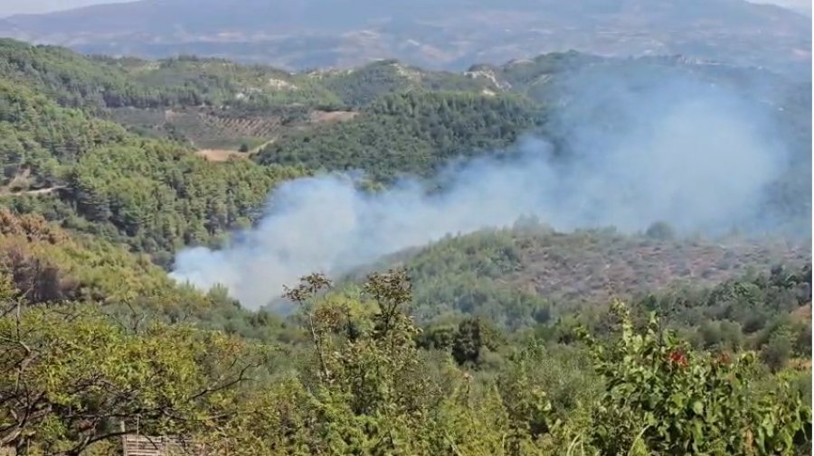 Situata e zjarreve në Mallakastër: Tre vatra ende aktive në Lofkënd, kërkohet ndërhyrje nga ajri